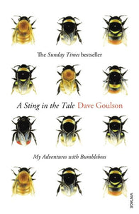 Sting in the Tale: My Adventures with Bumblebees