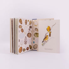 Load image into Gallery viewer, The Book of Birds Signed Indie Exclusive with a Limited Edition Print
