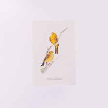Load image into Gallery viewer, The Book of Birds Signed Indie Exclusive with a Limited Edition Print
