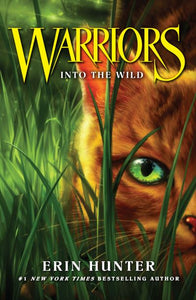 Warrior Cats Into The Wild