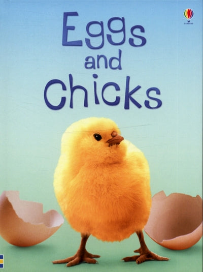 Eggs and Chicks