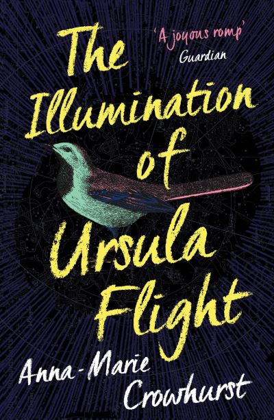 Illumination Of Ursula Flight